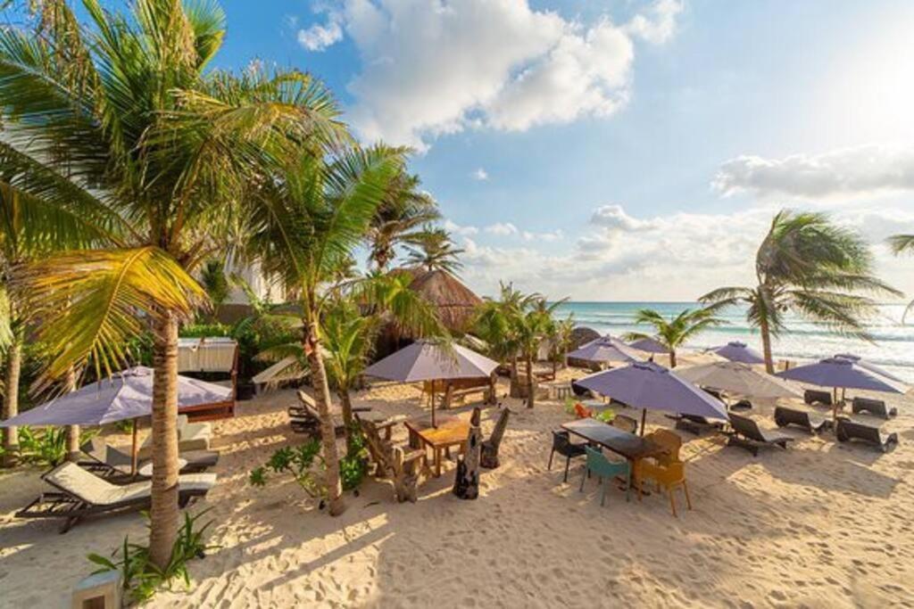 Luxury Studio In Playa Del Carmen Eksteriør billede
